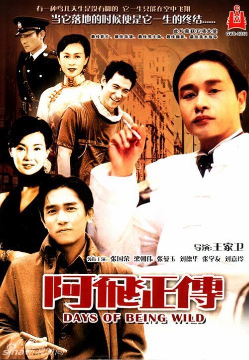 坦帕大学文凭毕业证成绩认证